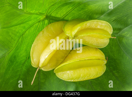 Gruppe von Reifen Sternapfel auf grünes Blatt. Stockfoto