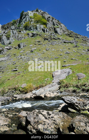 Fluss Tywi, RSPB Dinas, Llandovery, zentrale Wales Stockfoto