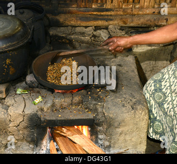 Kopi Luwak Kaffee geerntet aus dem Kot von Palm Civet, Ubud, Bali, Indonesien, Südostasien, Asien Stockfoto