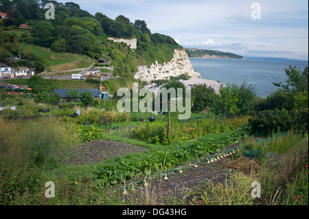 Zuteilungen an der Küste bei Bier, Devon, England, United Kingdom, Europe Stockfoto