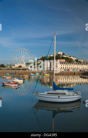 Hafen von Torquay, Devon, England, Vereinigtes Königreich, Europa Stockfoto