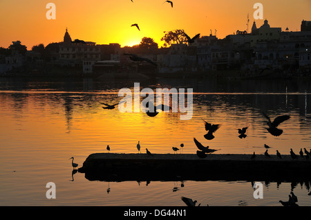 Sonnenuntergang auf den Ghats am Heiligen Pushkar-See, Pushkar, Rajasthan, Indien, Asien Stockfoto