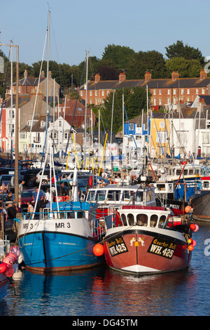 Angelboote/Fischerboote in den alten Hafen, Weymouth, Dorset, England, Vereinigtes Königreich, Europa Stockfoto