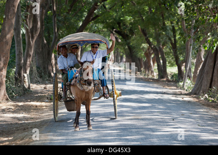 Touristischen Pferdewagen auf Baum gesäumt Spuren, Inwa, in der Nähe von Mandalay, Myanmar (Burma), Asien Stockfoto