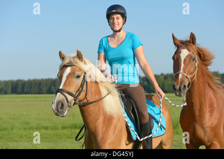 Junge Frau auf Rückseite ein Haflinger-Pferd einem Warmblut Pferd als 2. Pferd reitet. Stockfoto