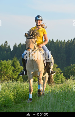 Junge Reiter auf der Rückseite ein norwegischer Fjord Pferd im Galopp auf einer Wiese Stockfoto