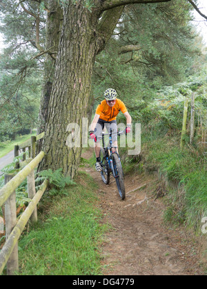 Mountainbiker fahren einen Weg in ein Mountainbike-Park in Süd-Wales, UK an einem sonnigen Tag im Herbst Stockfoto