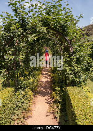 Frau zu Fuß unter Apfelbäumen geschult über gewölbten Pergola Tunnel bei Barnsdale Gärten, Oakham, Rutland, England, UK Stockfoto