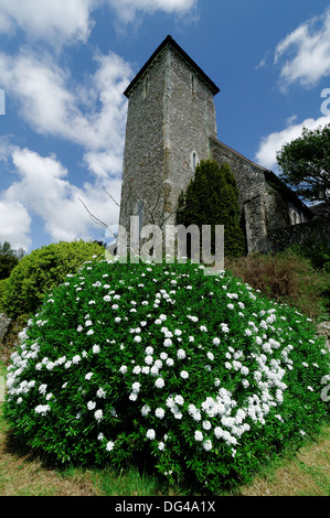 St Peter Kirche, Preston Manor, Preston Dorf, Brighton, East Sussex, England, Vereinigtes Königreich Stockfoto