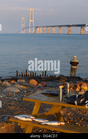 Nyborg Korsor Brücke, Korsor, Süddänemark, Dänemark, Skandinavien, Europa Stockfoto