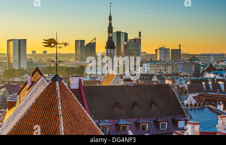 Skyline von Tallinn, Estland bei Sonnenuntergang. Stockfoto