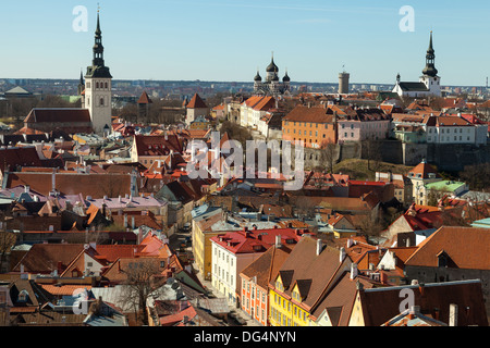 Luftbild auf Mitte des alten Tallinn, Hauptstadt von Estland Stockfoto