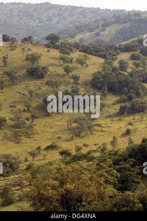 Südlichen Akagera National Game Park Ruanda Zentralafrika Landschaft Hügellandschaft von Gestrüpp und Bäume Stockfoto