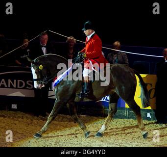 Birmingham, Vereinigtes Königreich. 13. Oktober 2013. Simon Reynolds Reiten supreme Champion Markenzeichen IX. (HOYS). National Exhibition Centre (NEC). Birmingham. VEREINIGTES KÖNIGREICH. 13.10.2013. Bildnachweis: Sport In Bilder/Alamy Live-Nachrichten Stockfoto