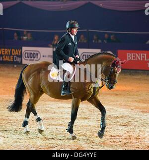 Birmingham, Vereinigtes Königreich. 13. Oktober 2013. Arko von Nick Skelton in das große Finale geritten. (HOYS). National Exhibition Centre (NEC). Birmingham. VEREINIGTES KÖNIGREICH. 13.10.2013. Bildnachweis: Sport In Bilder/Alamy Live-Nachrichten Stockfoto