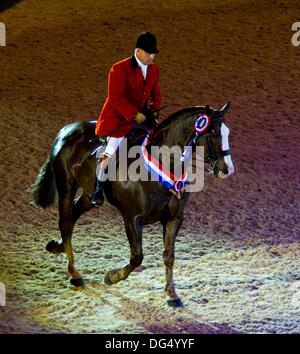 Birmingham, Vereinigtes Königreich. 13. Oktober 2013. Simon Reynolds Reiten supreme Champion Markenzeichen IX. (HOYS). National Exhibition Centre (NEC). Birmingham. VEREINIGTES KÖNIGREICH. 13.10.2013. Bildnachweis: Sport In Bilder/Alamy Live-Nachrichten Stockfoto