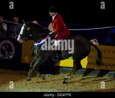 Birmingham, Vereinigtes Königreich. 13. Oktober 2013. Simon Reynolds Reiten supreme Champion Markenzeichen IX. (HOYS). National Exhibition Centre (NEC). Birmingham. VEREINIGTES KÖNIGREICH. 13.10.2013. Bildnachweis: Sport In Bilder/Alamy Live-Nachrichten Stockfoto