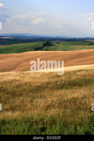 Tuscany Stockfoto