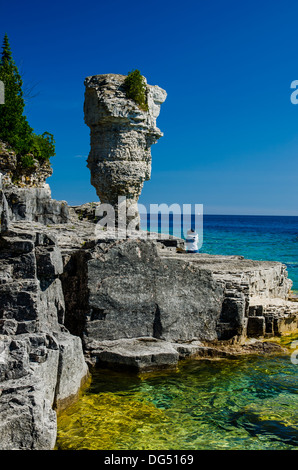 Ein Blumentopf Felsformation am Topf Blumeninsel, Tobermory Ontario Stockfoto