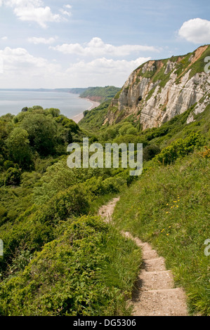 Beeindruckende Landschaft an der Südküste von Devon im Hooken Cliffs, hinunter die Küstenweg zum Bereich Undercliff. Stockfoto