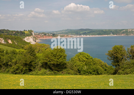 Auf dem South West Coast Path in der Nähe von Bier Blickrichtung Nordosten Seaton in der Ferne. Stockfoto