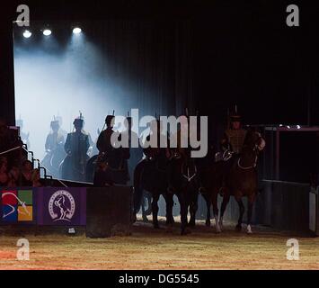 Birmingham, Vereinigtes Königreich. 13. Oktober 2013. Szenen aus dem großen Finale. (HOYS). National Exhibition Centre (NEC). Birmingham. VEREINIGTES KÖNIGREICH. Bildnachweis: Sport In Bilder/Alamy Live-Nachrichten Stockfoto