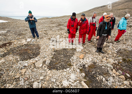 Gemusterte Boden und Steinkreisen gebildet über Permafrost in der Arktis auf Spitzbergen, Svalbard. Stockfoto