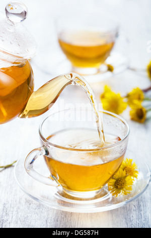 Kräutertee mit Huflattich Blumen gießen Stockfoto