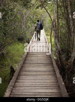 Indonesischer Fremdenführer auf der Promenade durch den tropischen Torfsumpf-Wald vom Dock zum Camp Leakey im Tanjung Puting National Park, Kalimantan Stockfoto