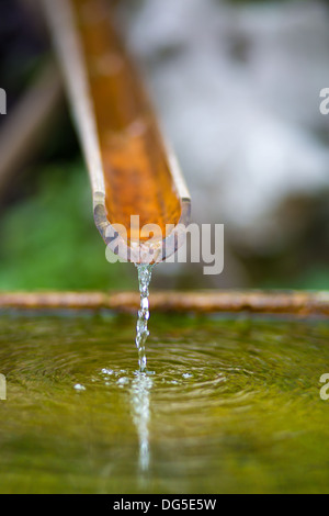 Traditionelle Bambus-Brunnen mit Wasser in einem Tempel in Hangzhou, China Stockfoto