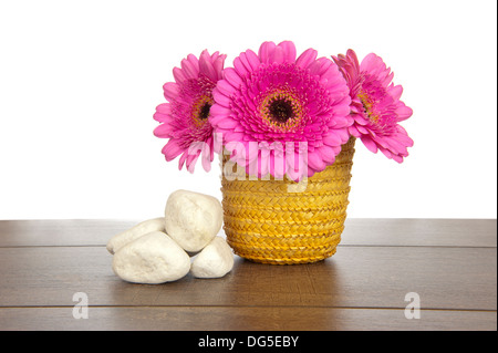 Rosa Gerbera in gelb Stroh Korb mit Haufen von weißen Steinen auf einem dunklen Braun Holzregal Stockfoto