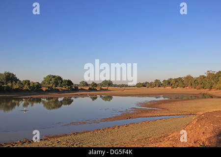 Laungwa Fluss-Sambia Stockfoto