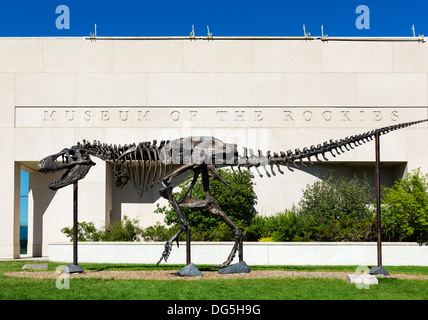 T-Rex vor dem Museum der Rocky Mountains, Bozeman, Montana, USA Stockfoto