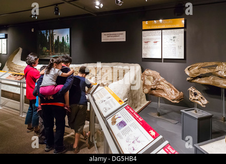Familie sucht in der Dinosaurier-Anzeige im Museum of the Rockies, Bozeman, Montana, USA Stockfoto