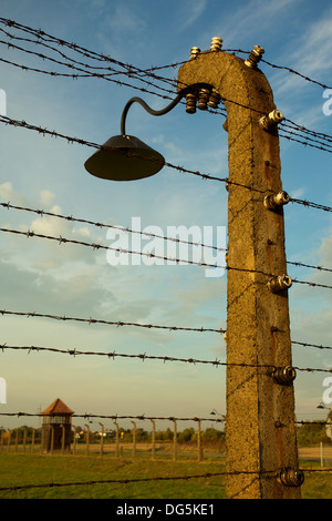 Stacheldraht Zaun in Auschwitz II-Birkenau KZ in Polen in der Nähe von Krakau. Stockfoto