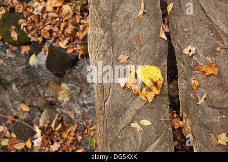 Planken an einem kleinen Steg hängen über einem kleinen Bach am Mount Greylock State Park in Lanesboro Massachusetts. Stockfoto