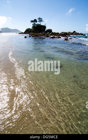 Castelhanos Strand, von Ilhabela, Brasilien Sao Paulo State Ufer Stockfoto