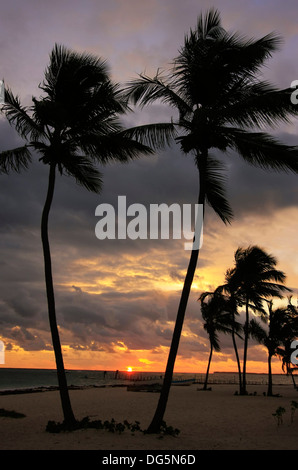 Silhouetten von Palmen an einem tropischen Strand bei Sonnenaufgang Stockfoto