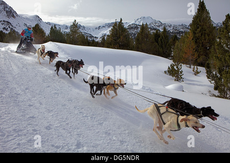 Pirena. Schlittenhunderennen in den Pyrenäen, Spanien, Andorra und Frankreich durchlaufen. Grandvalira. Andorra Stockfoto