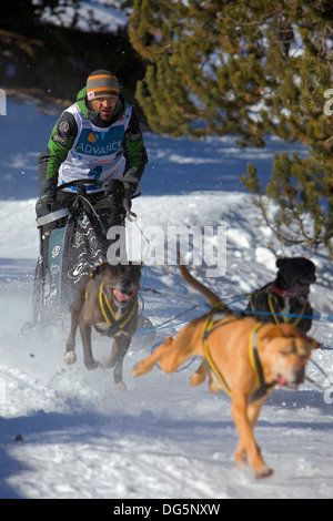 Pirena. Schlittenhunderennen in den Pyrenäen, Spanien, Andorra und Frankreich durchlaufen. La Molina. Provinz Girona. Katalonien. Spanien Stockfoto