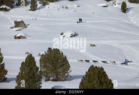 Pirena. Schlittenhunderennen in den Pyrenäen, Spanien, Andorra und Frankreich durchlaufen. Baqueira Beret. Provinz Lleida. Katalonien. Spanien Stockfoto