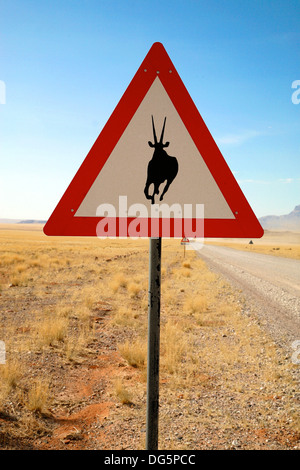 Gefahr Springbok Crossing Road Sign schließen, Country Road, Namibia, Südwest-Afrika Stockfoto