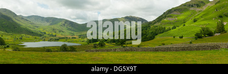 Wenig Langdale Panorama, Lake District, Cumbria, England Stockfoto