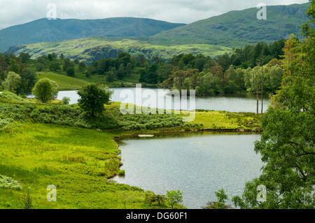 Tarn Hows, in der Nähe von Coniston, Cumbria, England Stockfoto