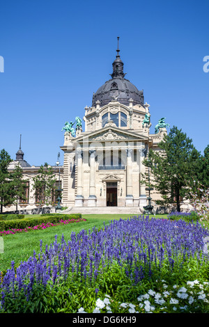 Szechenyi medizinischen Thermalbäder und Spa, Budapest, Ungarn. Stockfoto