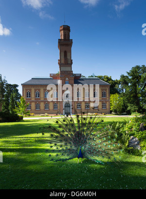 Frankreich, Midi-Pyrénées - Tarbes. Le Jardin Massey, öffentlichen Park. Musée Massey. Stockfoto