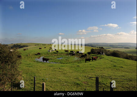 Herbstsonne durch auf der South Downs Way am Ditchling Beacon Tau Teich in der Nähe von Brighton heute Stockfoto