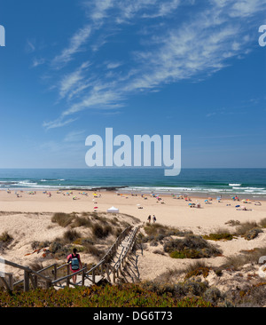 Portugal, Algarve, der westlichen Costa Vicentina, Monte Clérigo Strand im Sommer Stockfoto