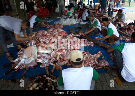 Serpong Banten, Indonesien. 15. Oktober 2013. Eine Kuh-Fleisch in Stücke geteilt. Muslime in Indonesien feiern Iedul Adha durch Schlachtung Kühe oder Schafe, den Armen zu geben.  Bildnachweis: Donal Husni/Alamy Live-Nachrichten Stockfoto