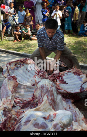 Serpong Banten, Indonesien. 15. Oktober 2013. Kuh-Fleisch-Scheiben in Stücke vor geliefert. Muslime in Indonesien feiern Iedul Adha durch Schlachtung Kühe oder Schafe, den Armen zu geben.  Bildnachweis: Donal Husni/Alamy Live-Nachrichten Stockfoto